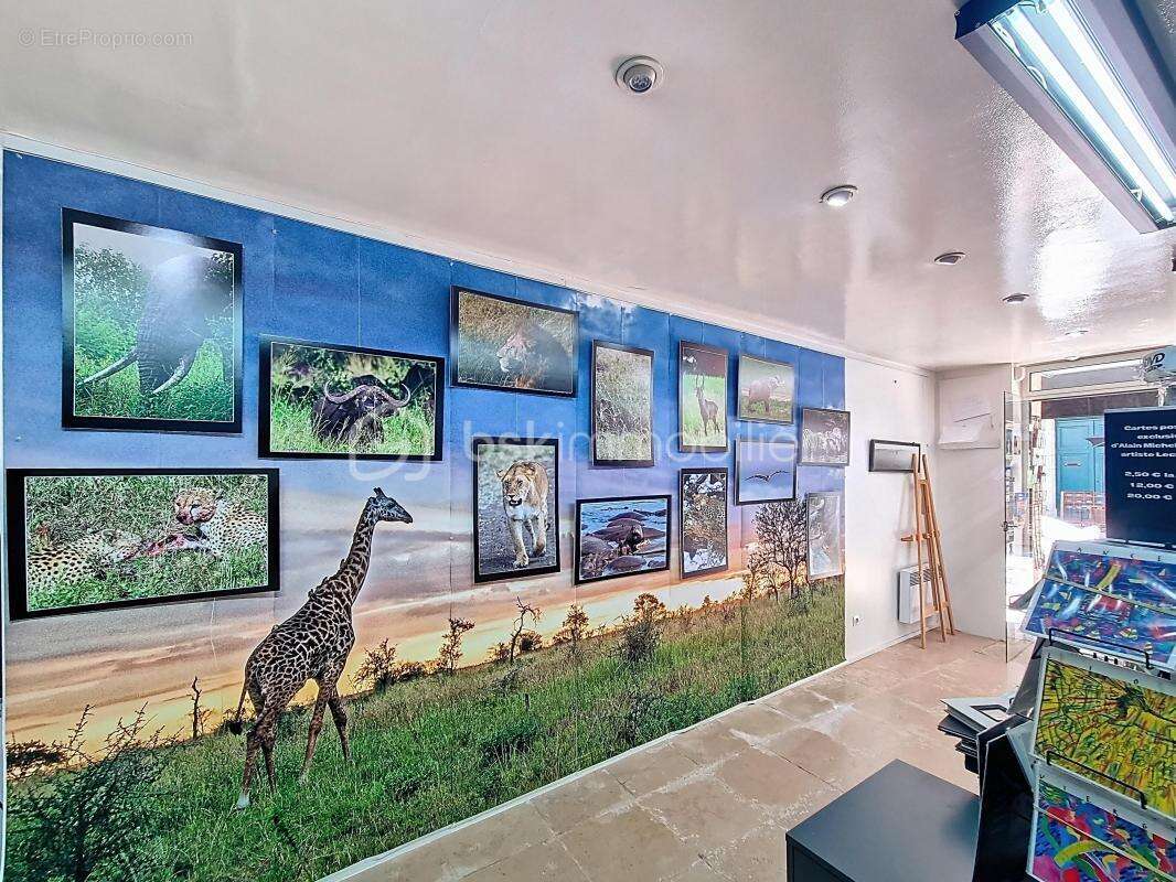 Commerce à LECTOURE