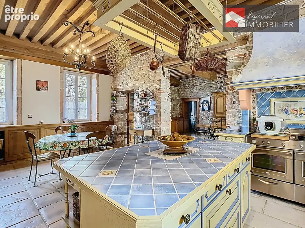 À vendre  Maison bourgeoise de charme proche Cuisery et Tournus - photo 2