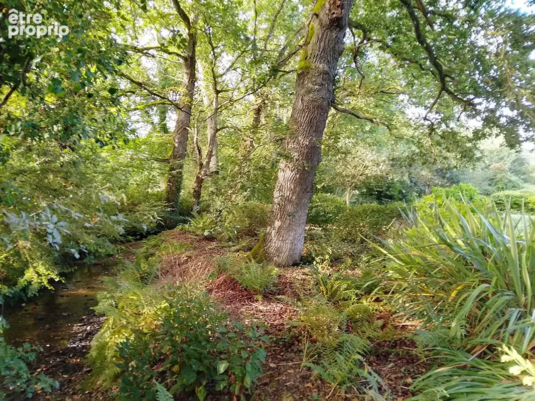 Propriété d'Exception - 20 mns du MONT SAINT MICHEL et 5 mns de la Merveilleuse foret de la VilleCartier - photo 6
