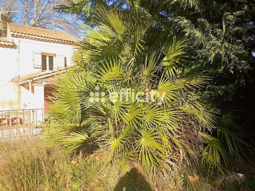 Maison à ALTHEN-DES-PALUDS