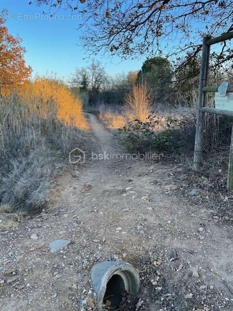 Terrain à CABESTANY