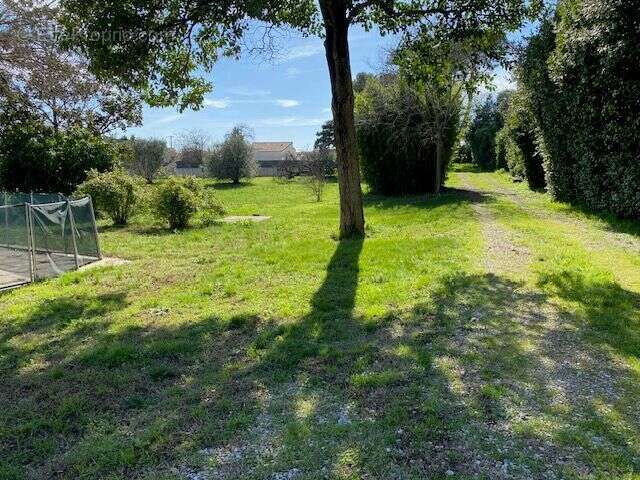 Maison à SAINT-ANDRE-DE-SANGONIS