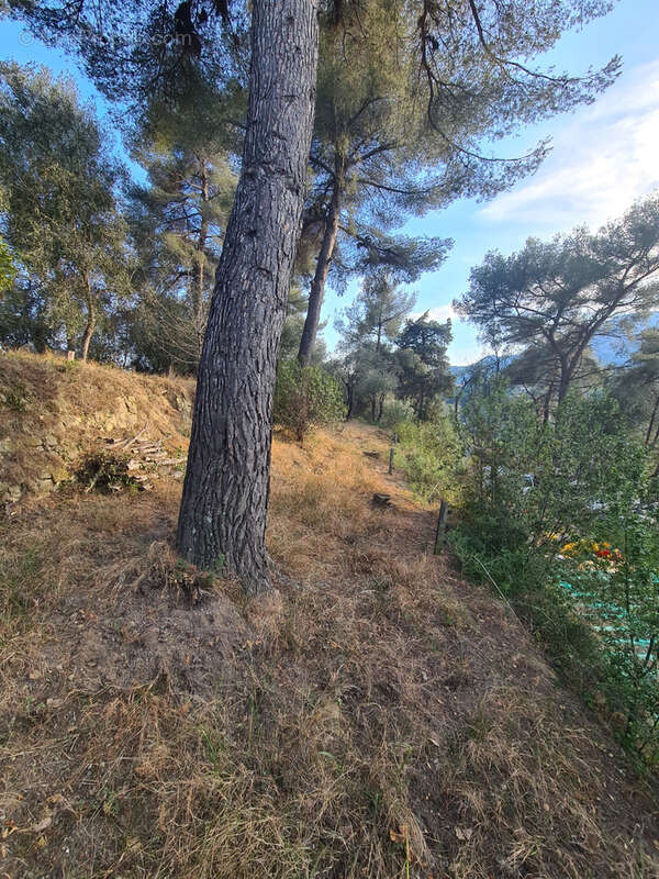 Terrain à MENTON