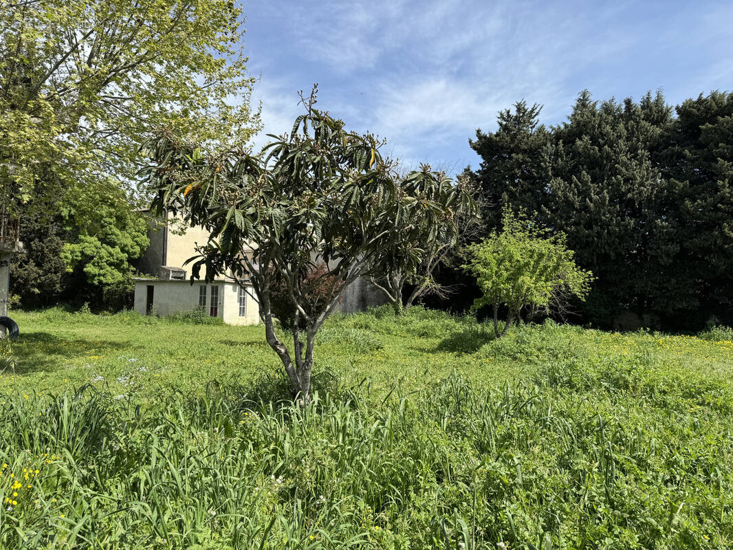 Terrain à CADEROUSSE