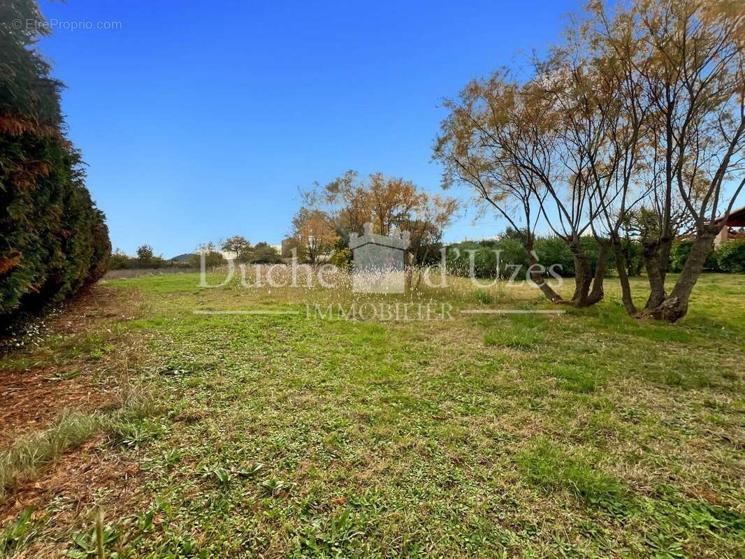 Photo 4 - Terrain à LEDIGNAN