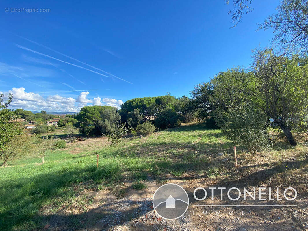 Terrain à ROQUEBRUNE-SUR-ARGENS