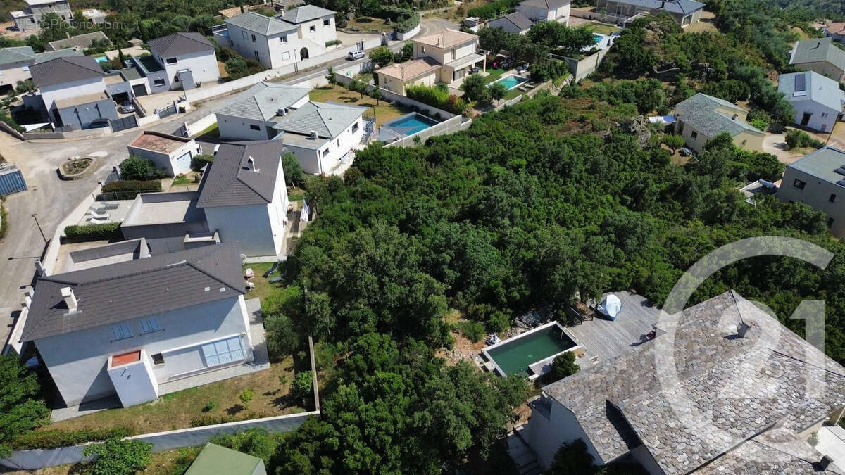 Terrain à SANTA-MARIA-DI-LOTA