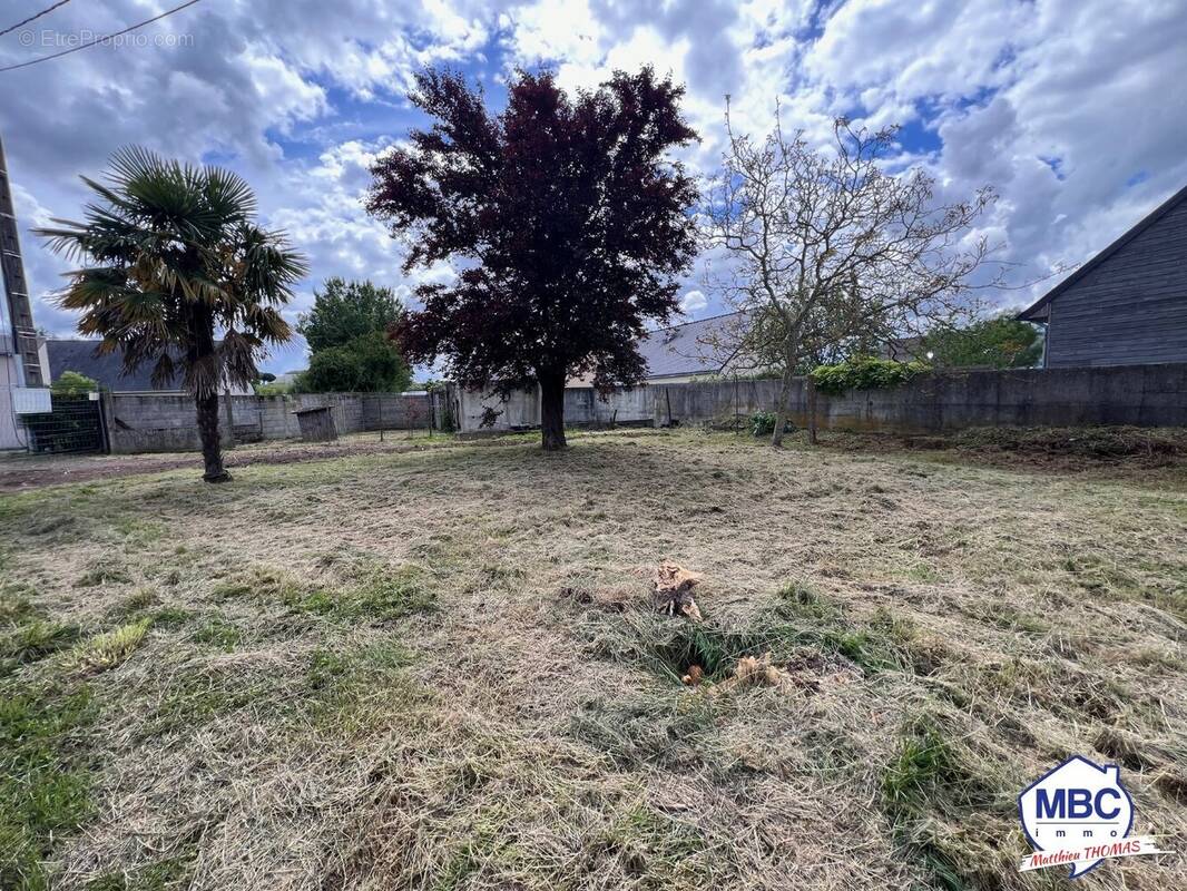 Terrain à MONTJEAN-SUR-LOIRE