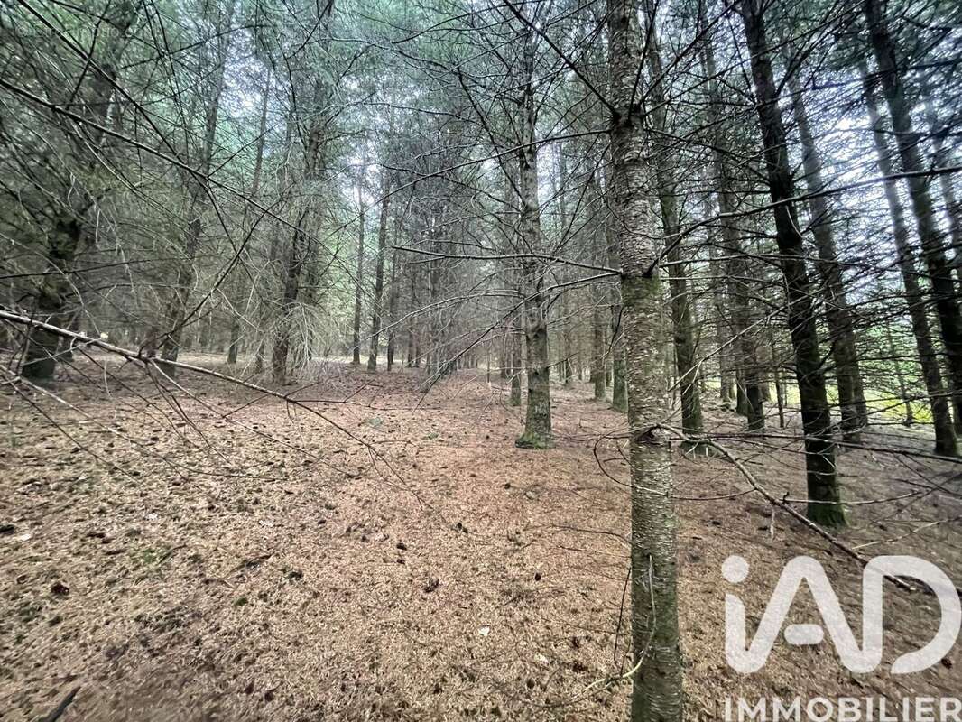 Photo 8 - Terrain à NEDDE