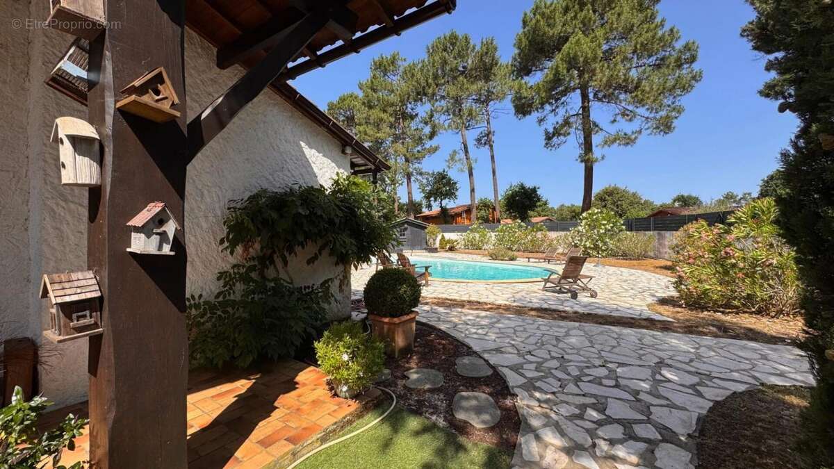 Maison à LEGE-CAP-FERRET