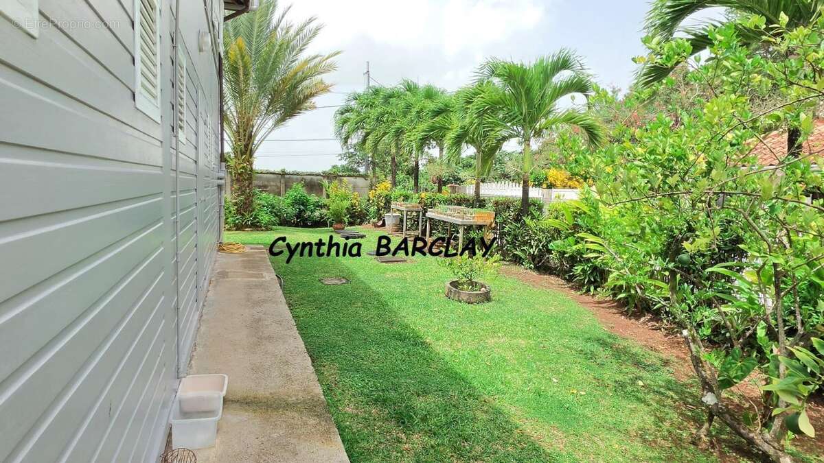 Maison 300 m² à Riviere-Pilote  - photo 7