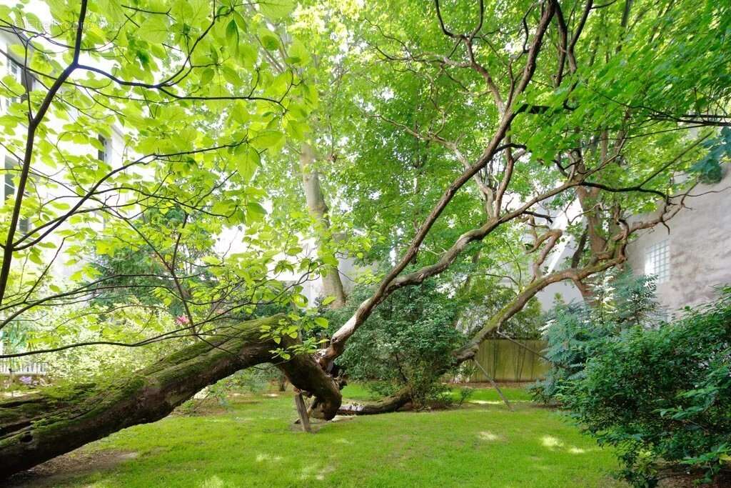 Appartement à PARIS-6E