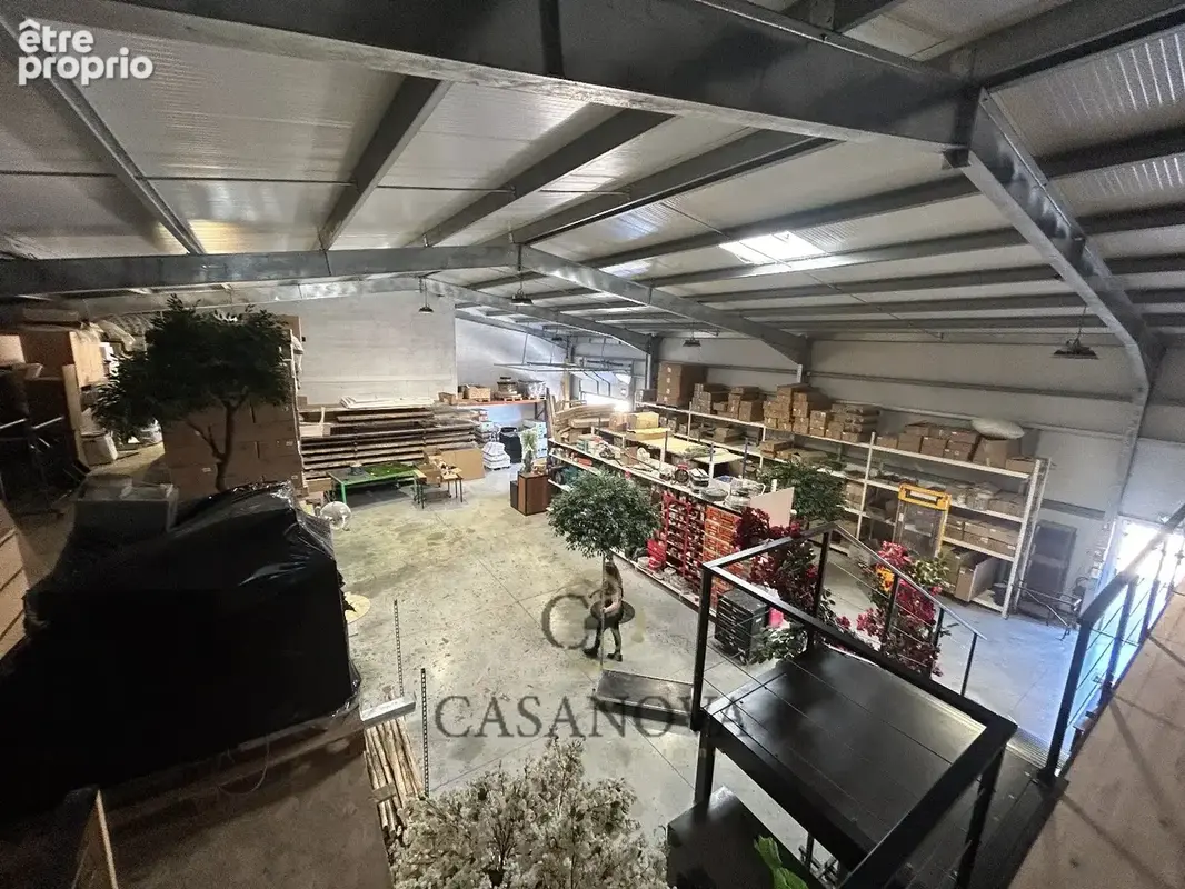 Rachat sarl Déco végétale et végétaux stabilisés Vendargues - photo 2