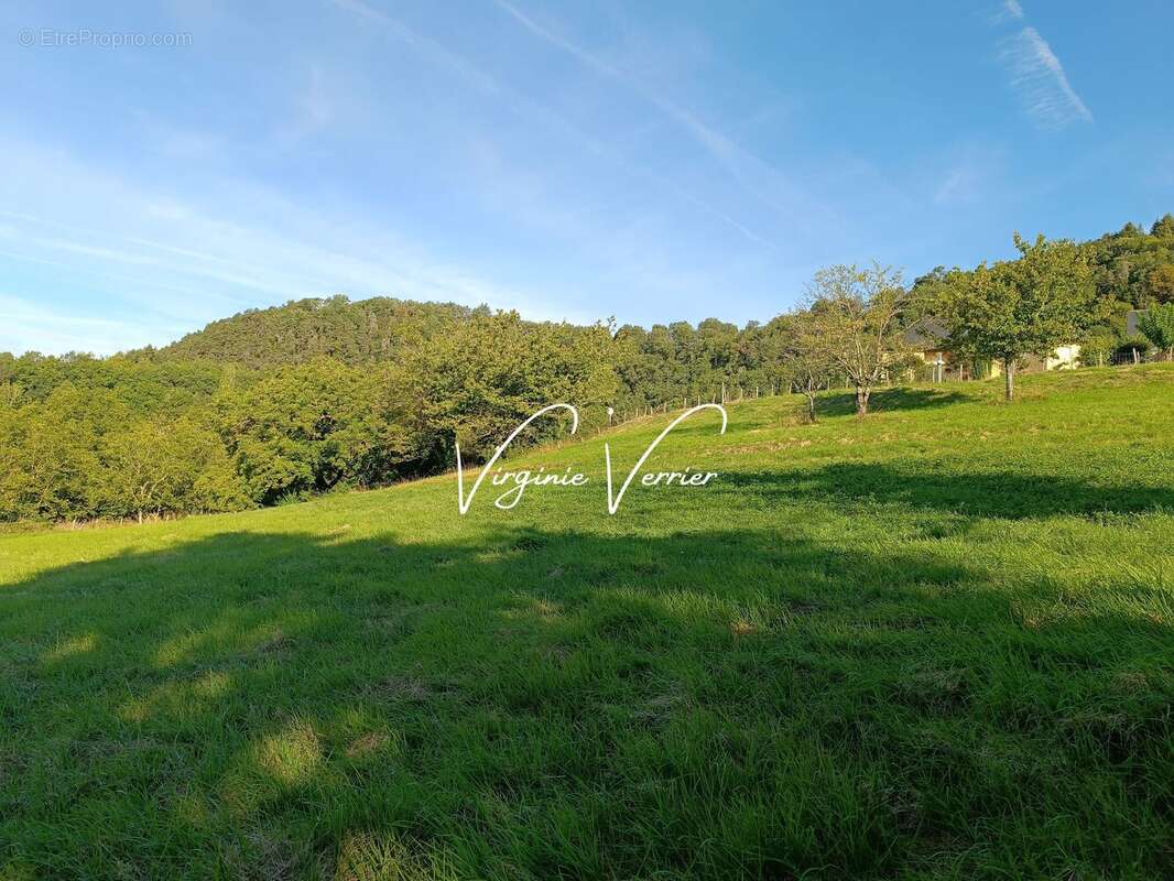 Terrain à PERPEZAC-LE-BLANC