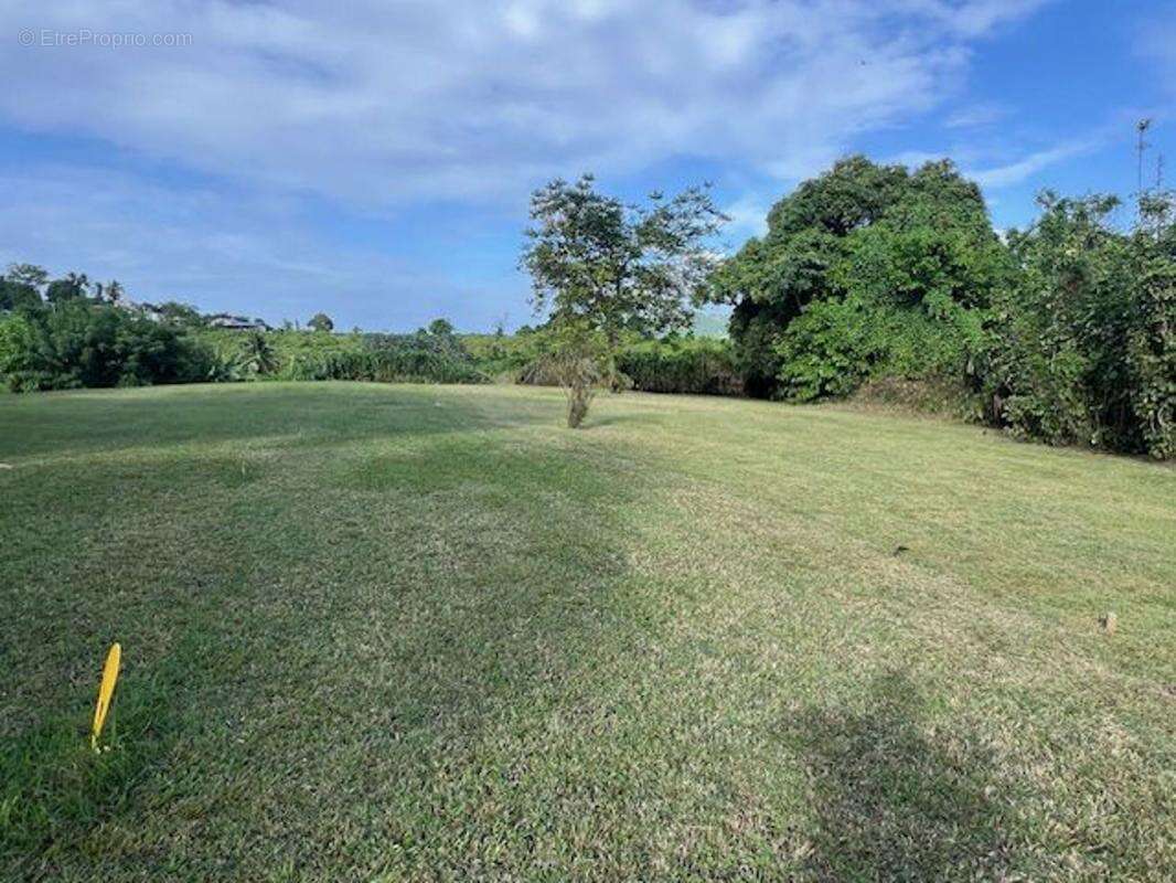 Terrain à LE LAMENTIN