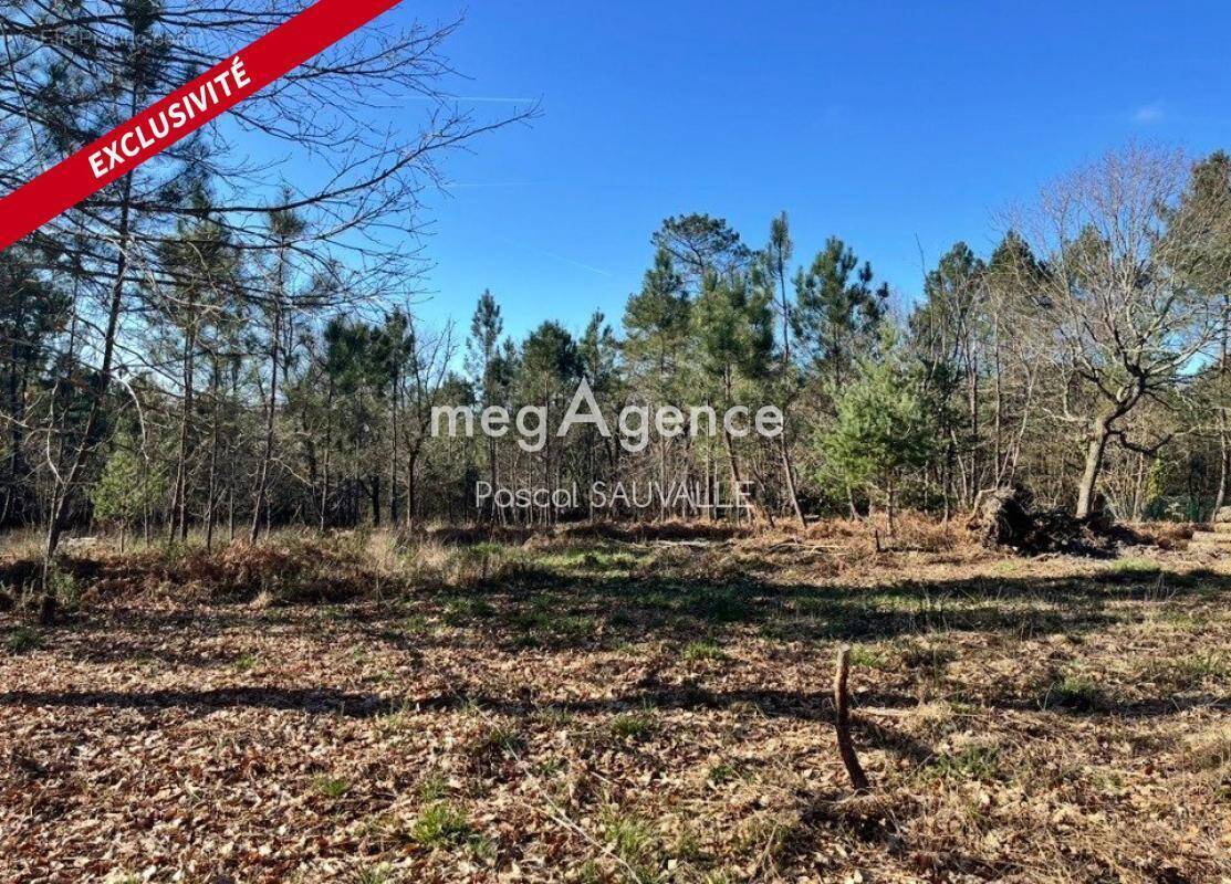 Terrain à CHANCELADE