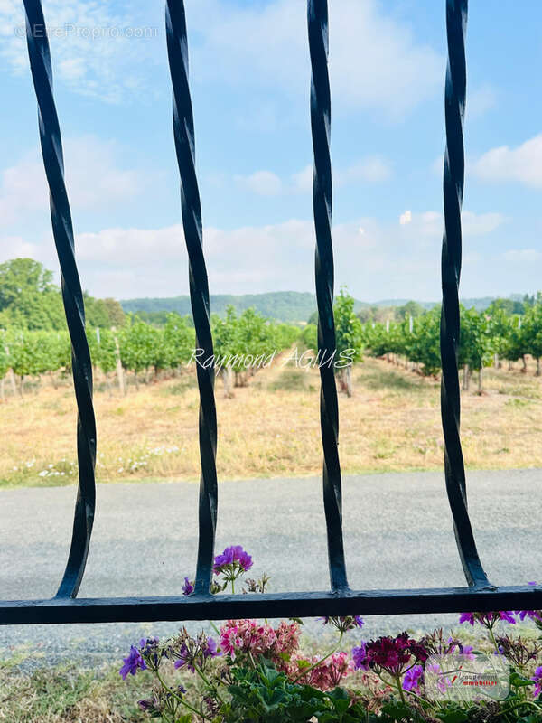 Charmante longère de vigneron avec studio, piscine et séchoir traditionnel - photo 26