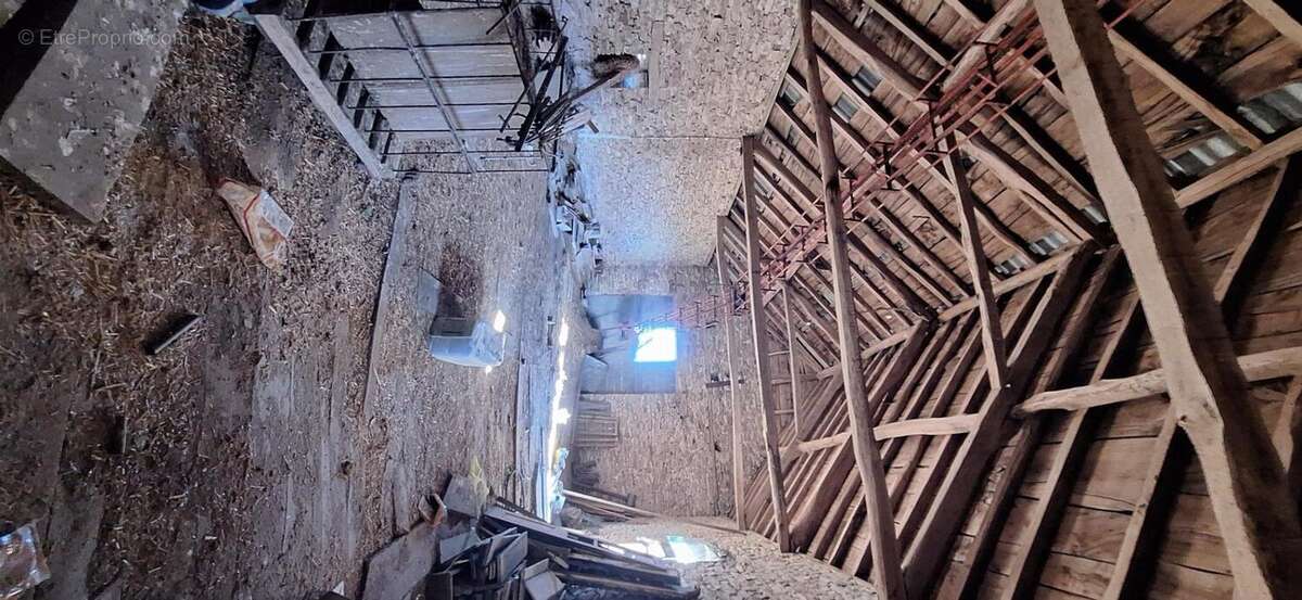 Photo 5 - Maison à REQUISTA