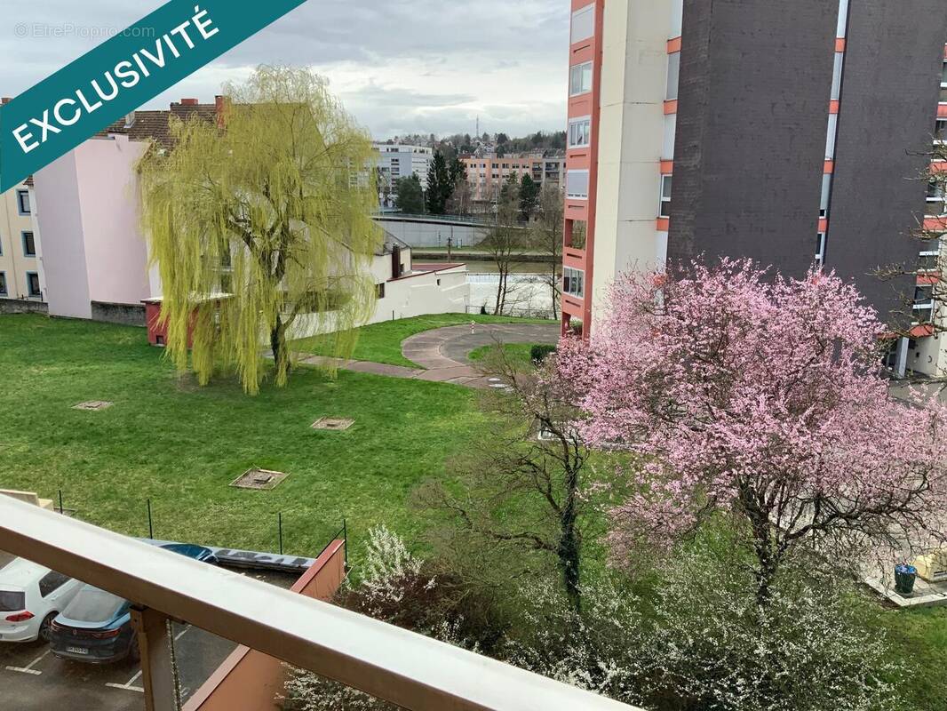Photo 1 - Appartement à SARREGUEMINES