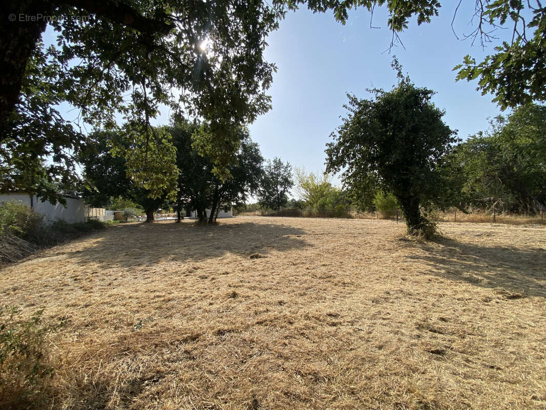 Terrain constructible à vendre   Larra (31)   1 066 m2 - photo 4