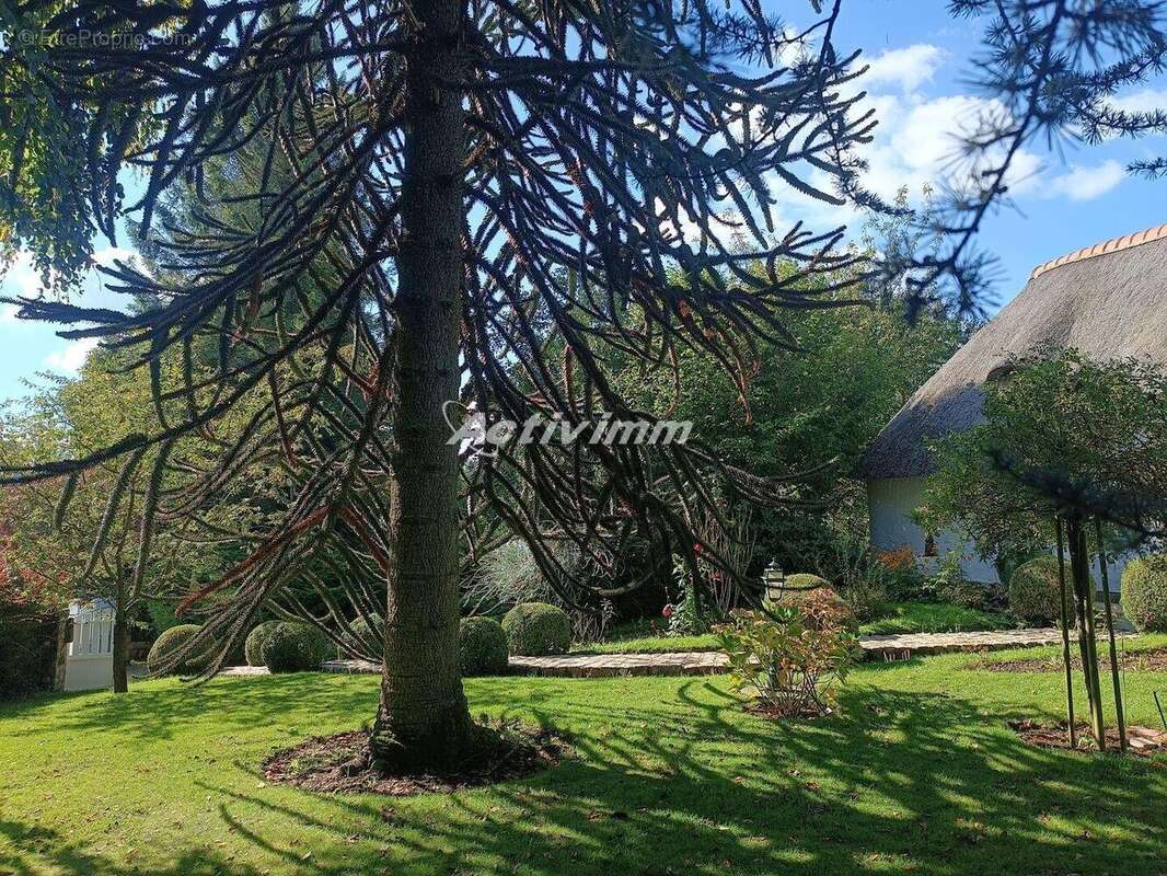 4243 7 - Maison à HESDIN