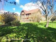 Maison à COURCELLES-LES-MONTBELIARD