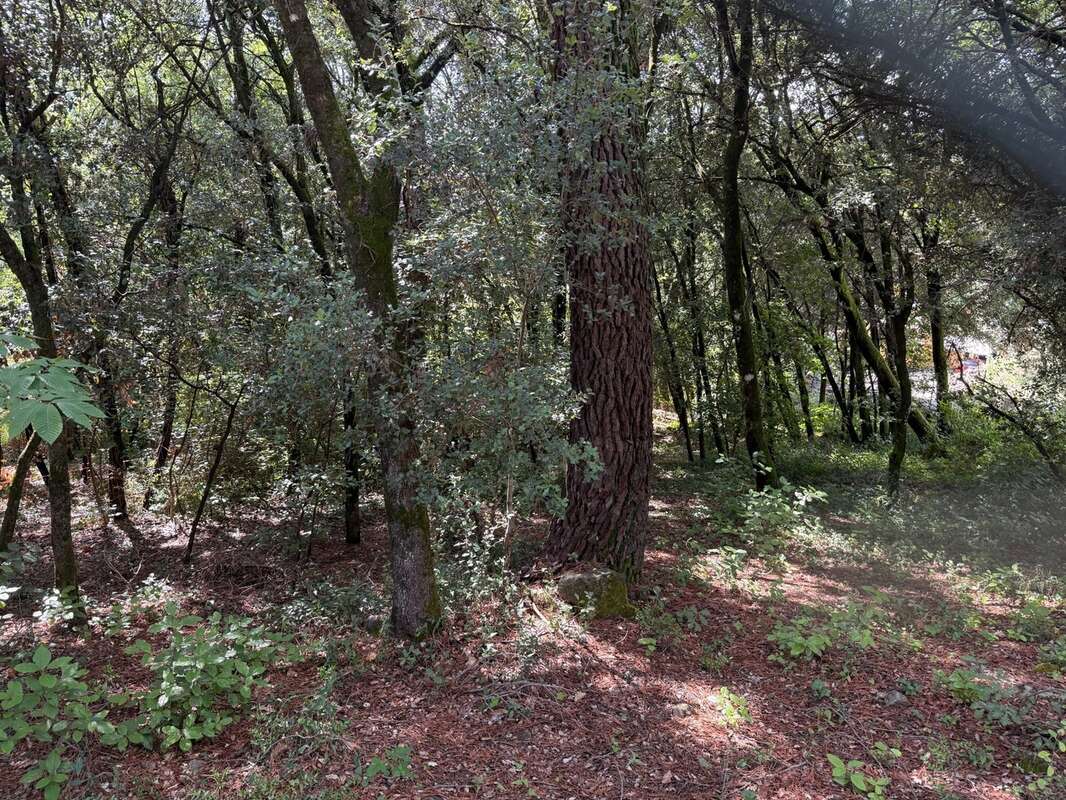 Terrain à bâtir à vendre 1032 m2  CENDRAS (30480) - photo 3