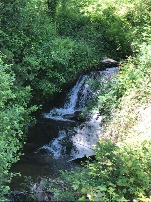 RARE:  Moulin auvergnat authentique au bord d'un ruisseau - photo 8