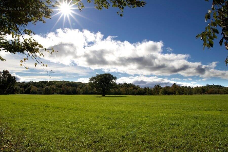 Terrain à ARTANNES-SUR-INDRE