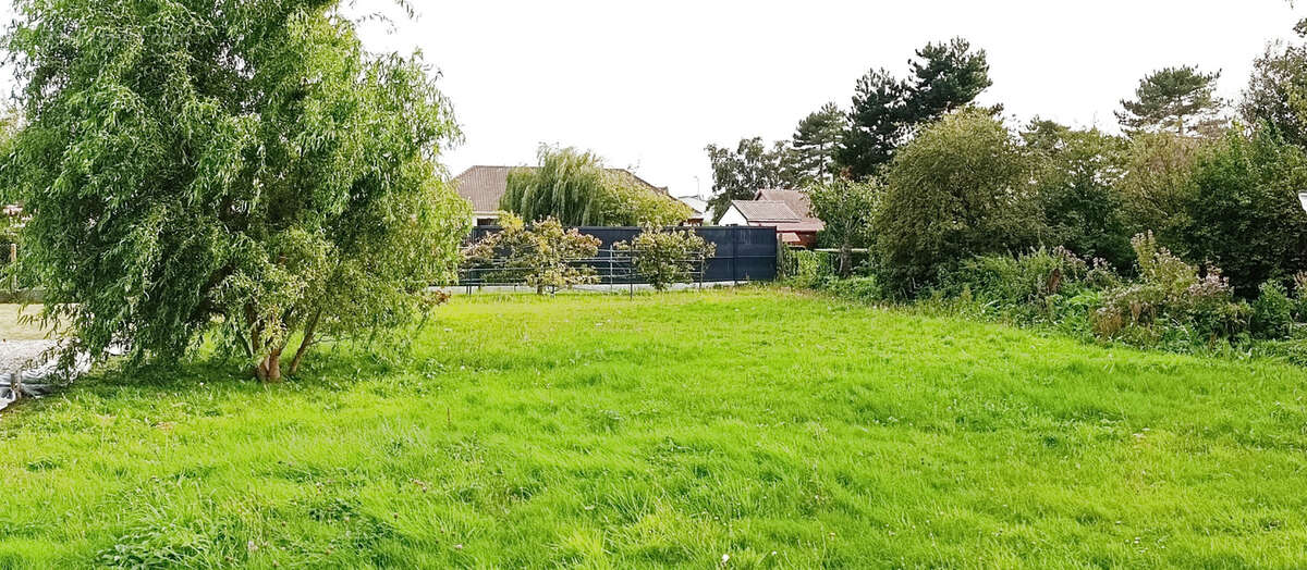 Terrain à BERCK