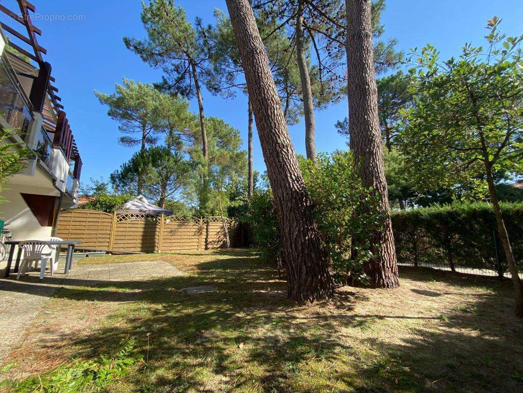 Appartement à LES MATHES