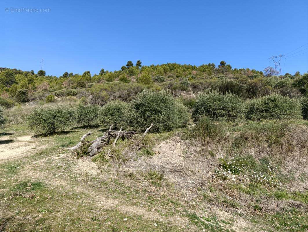 Terrain à MANOSQUE