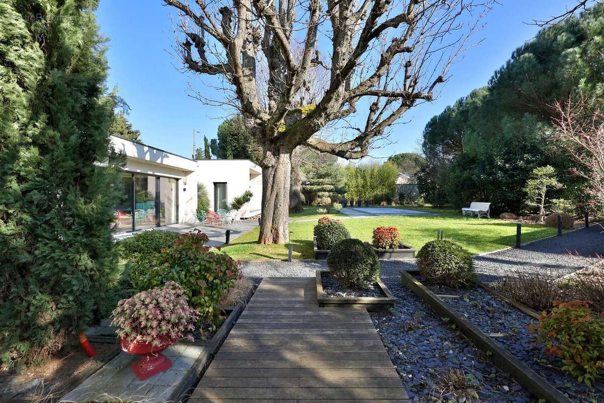 Photo 3 - Maison à FONTAINES-SUR-SAONE