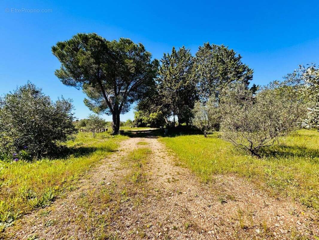 Photo 3 - Maison à PEZENAS