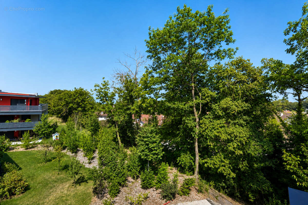 Appartement à THONON-LES-BAINS