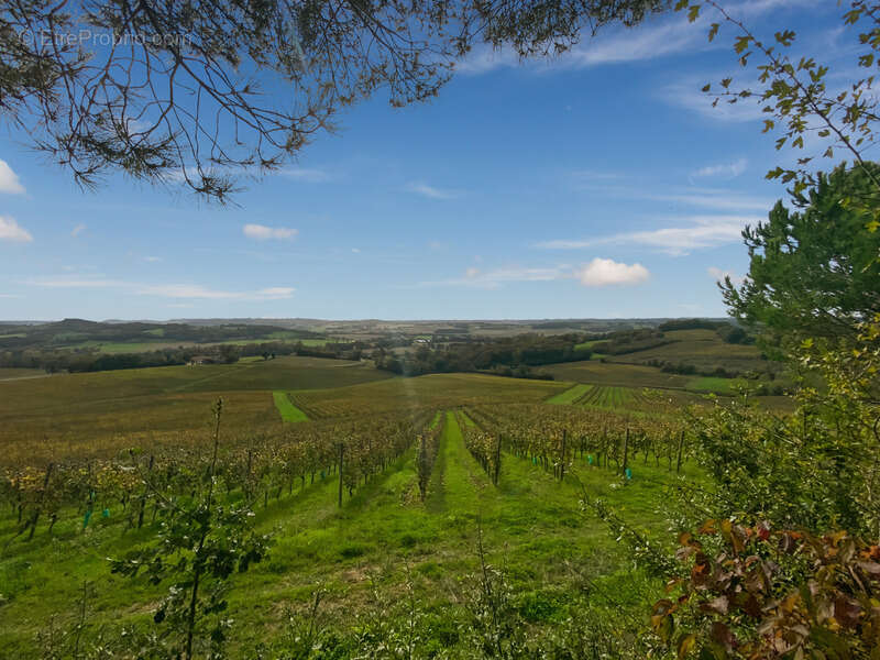 Dpt Gers (32), à vendre Proche de RISCLE château T6 de 327 m² habitables + 580 m² de dépendances attenantes sur 8157 m² de terra - photo 28