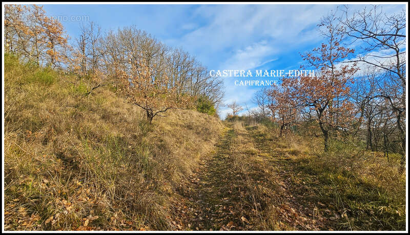 Terrain  à vendre  pessan (32) - photo 6