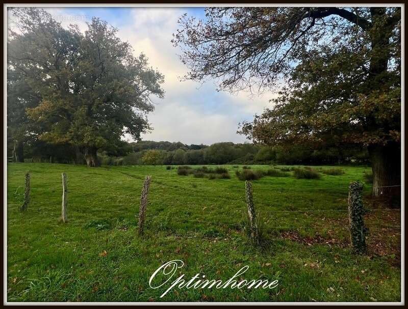 Maison à TREILLIERES