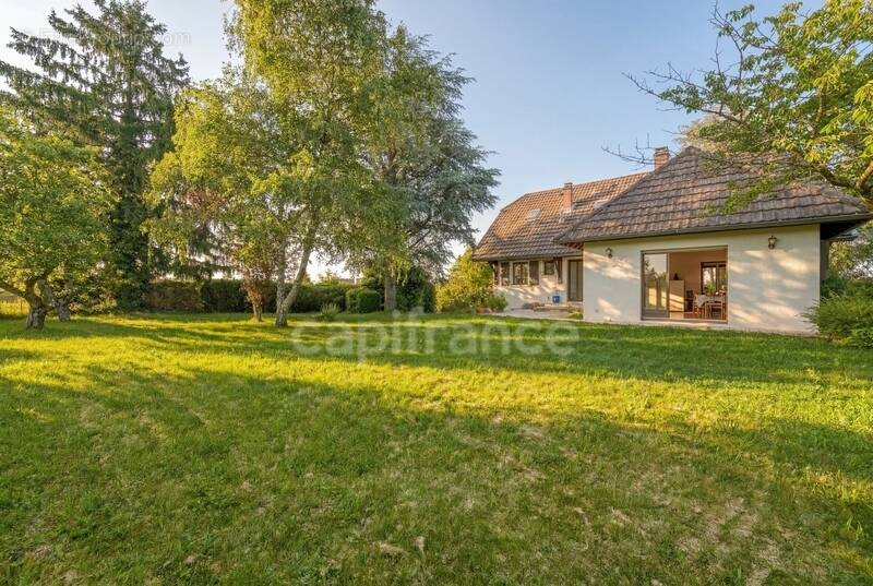 Maison à PREVESSIN-MOENS