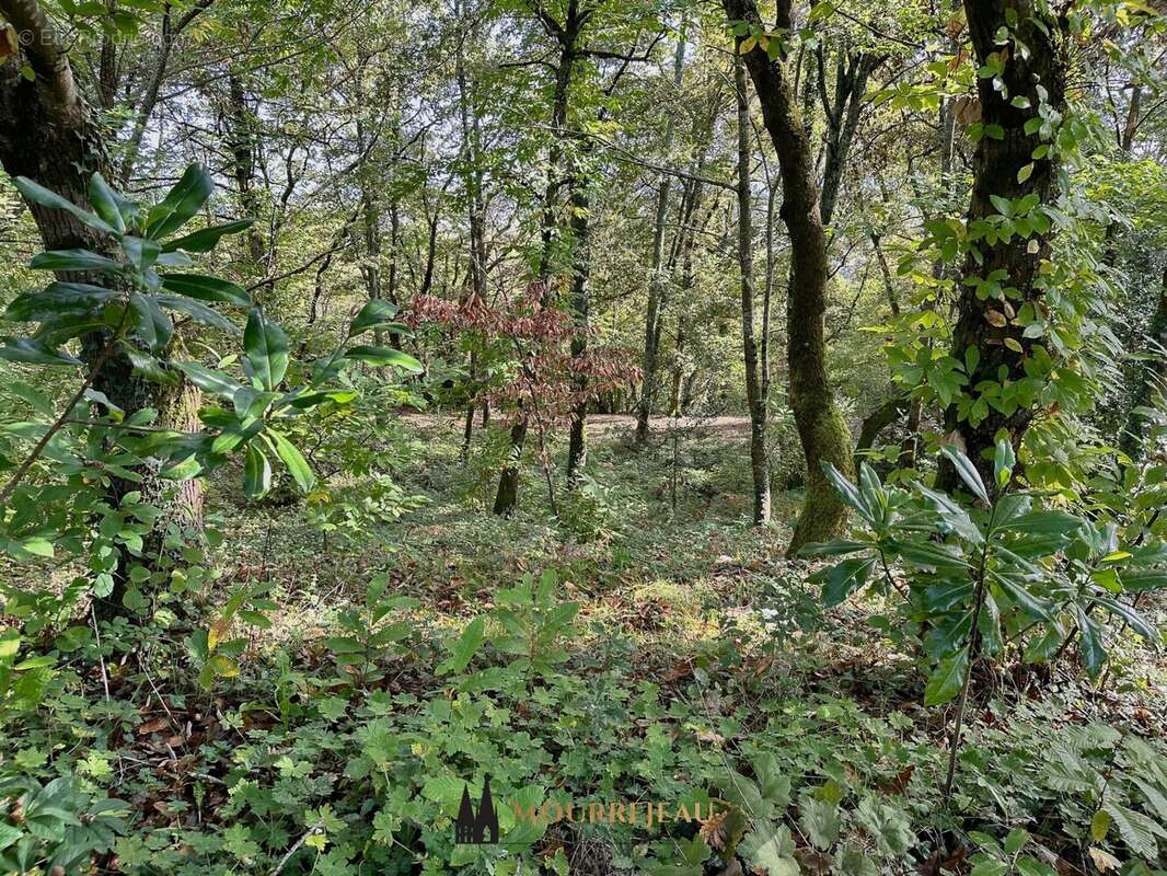 Maison à CASTELNAU-RIVIERE-BASSE