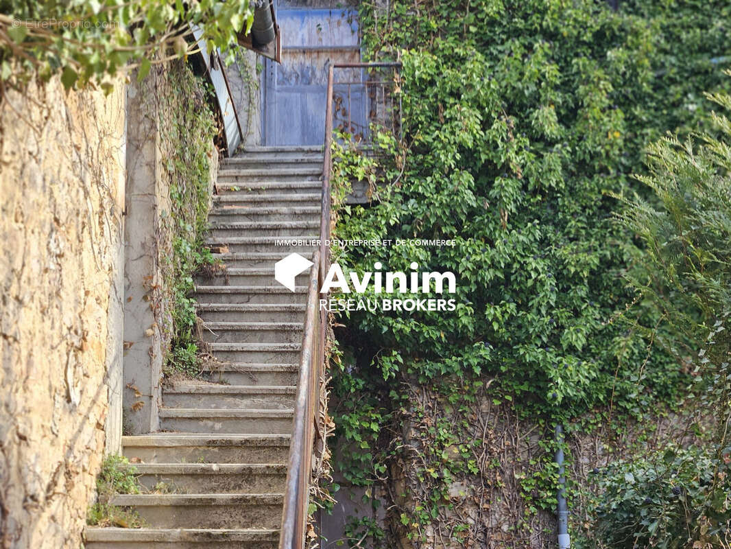 Commerce à SAINT-AMOUR