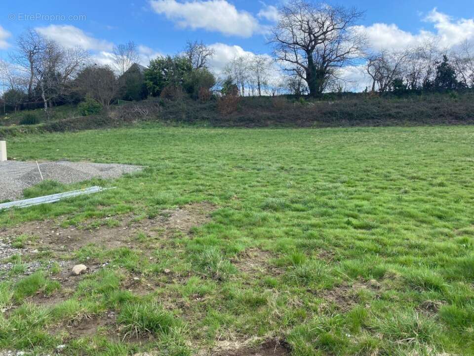 Terrain à LOUEY