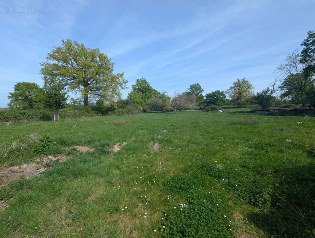 Maison à NEUVY-SAINT-SEPULCHRE