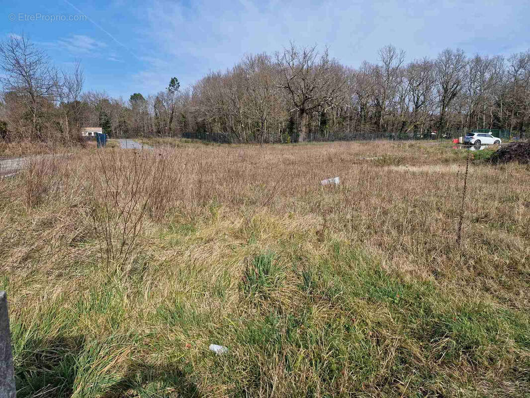 Terrain à SAINT-ANDRE-DE-CUBZAC