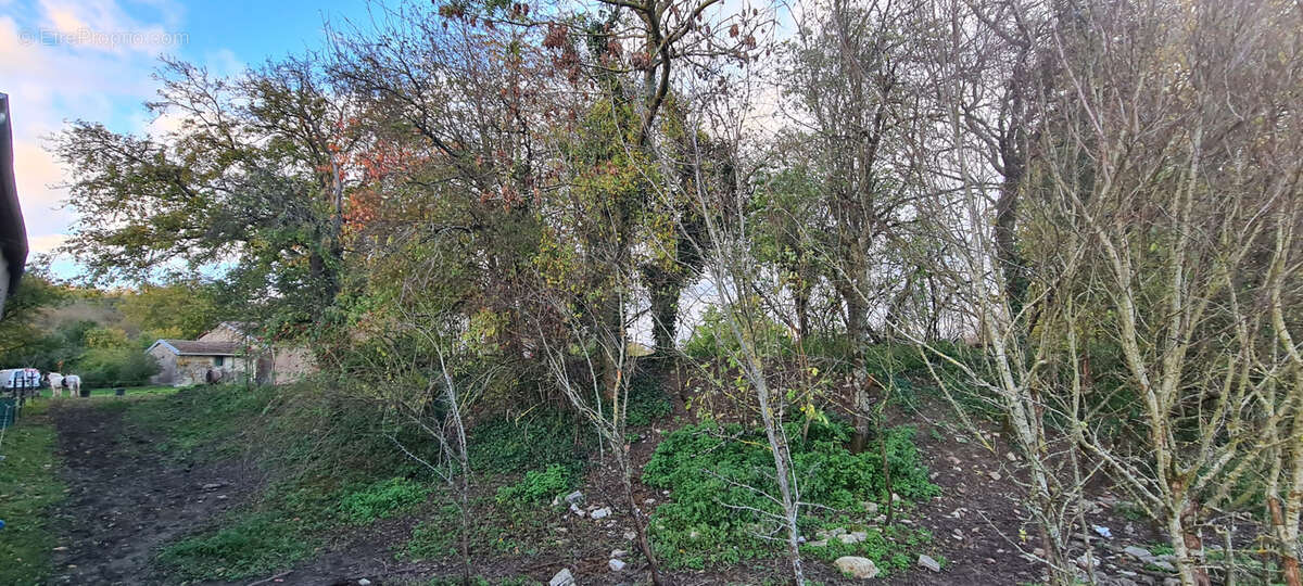 Terrain à SIVRY-LA-PERCHE