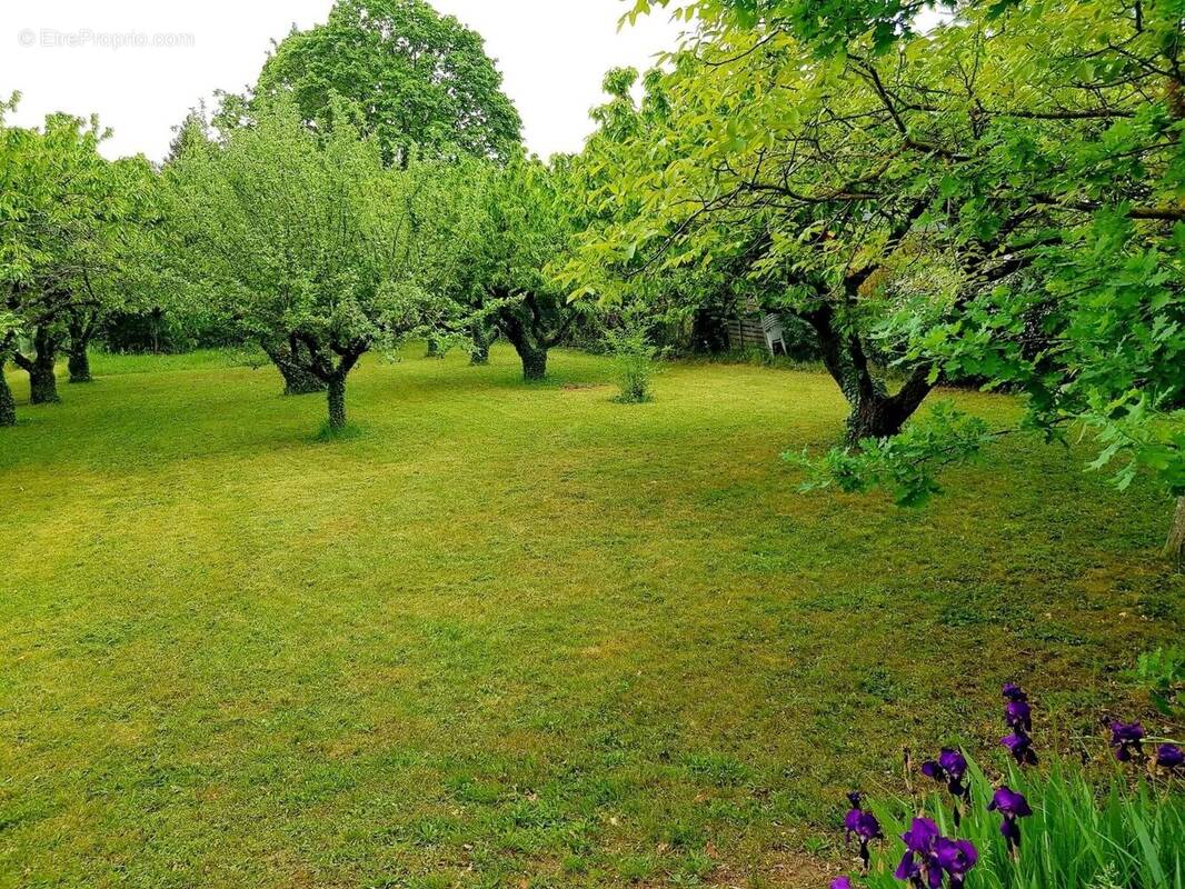 Terrain à SAINTE-FOY-LES-LYON