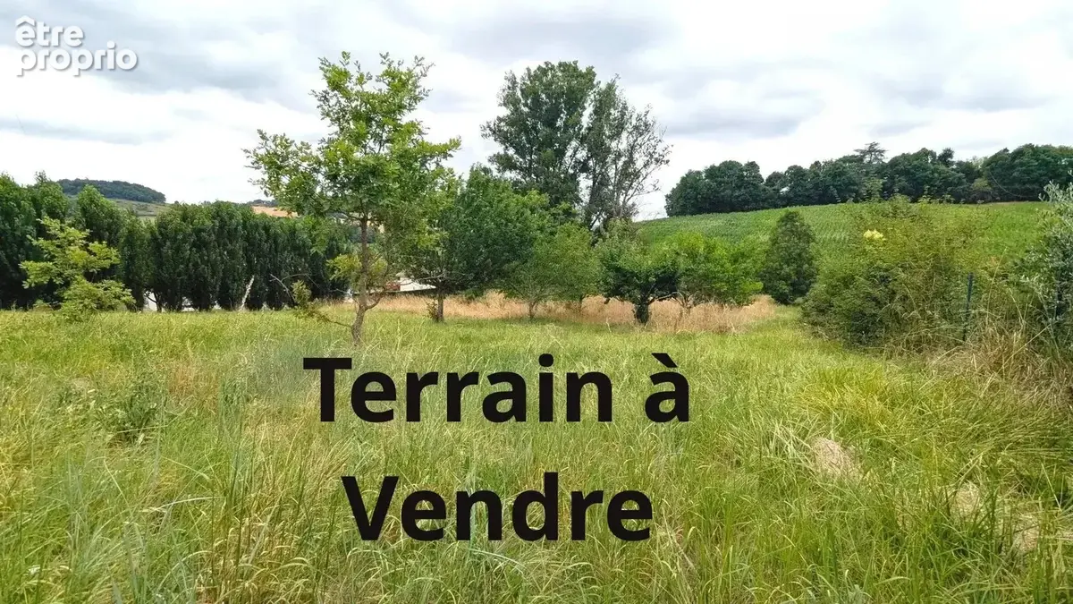 Paysage champêtre avec arbres et herbe sous un ciel nuageux. - Terrain à LA SAUVETAT-DE-SAVERES