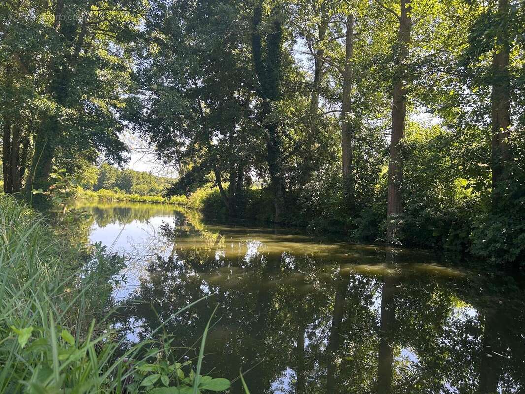 Photo 6 - Maison à LA POTERIE-AU-PERCHE