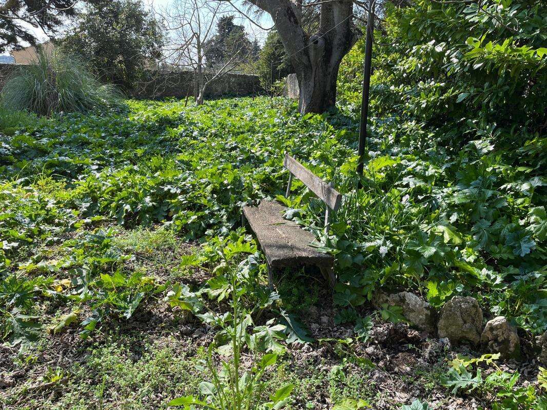 Maison à SAINT-PONS-DE-MAUCHIENS