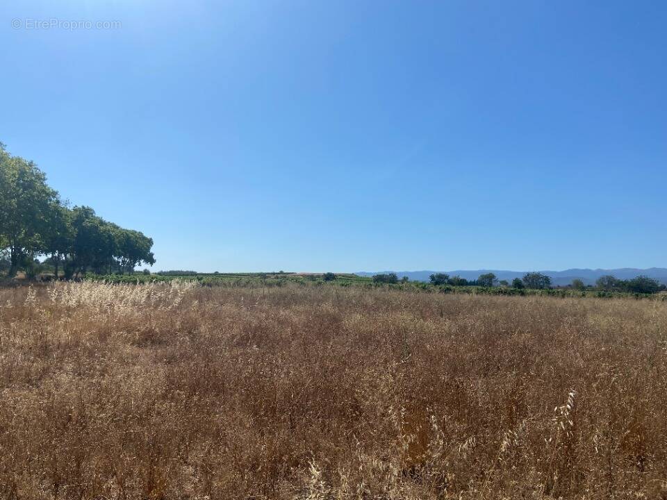 Terrain à OLONZAC